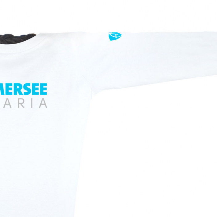 Ausschnitt Vorderansicht eines weissen CT Longsleeve T-Shirts aus Bio-Baumwolle (Organic Bio T-Shirt) mit grau-türkisem Ammersee Design der Modemarke AMMERSEE BAVARIA aus Bayern, Deutschland