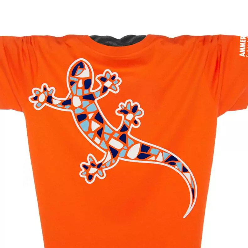 absc tshirt0510 gk orangewhite0201