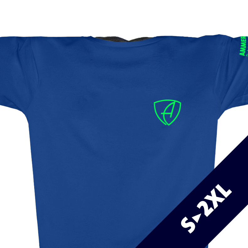 Herren T-Shirt Sportfunktion Active Eco Sports CGo | Blue Neongreen