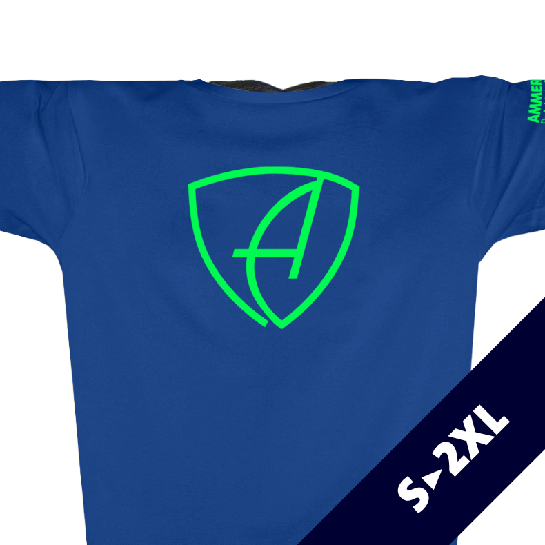 Herren T-Shirt Sportfunktion Active Eco Sports CBo | Blue Neongreen