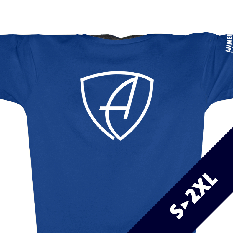 Herren T-Shirt Sportfunktion Active Eco Sports CBo | Blue White